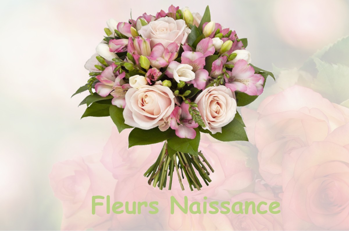 fleurs naissance SAINT-LEGER-DE-BALSON