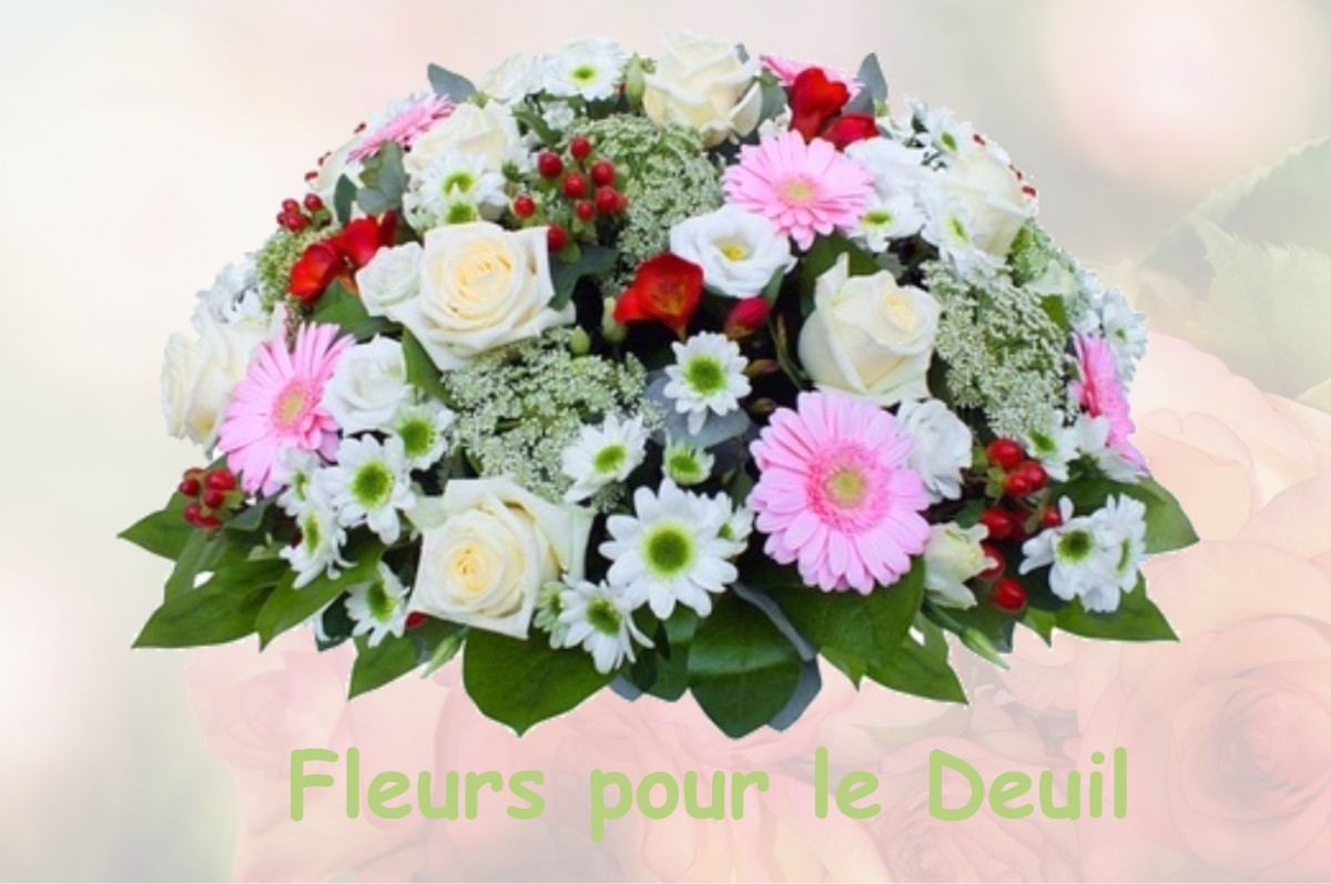 fleurs deuil SAINT-LEGER-DE-BALSON
